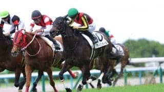 【京都8R】三冠牝馬リバティアイランド半妹マディソンガールがV…断然人気に応える