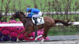 【京都6R】ソウルオンファイアがしぶとく逃げ切り2勝目