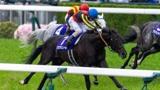 クロワデュノールvsメイショウタバル、宝塚記念ファン投票トップ争い激化