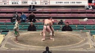 「隣にいたら最悪」大相撲、客席で繰り返される“異様な声援”に批判が相次ぐ「早くも酔っ払い？」憤りの声