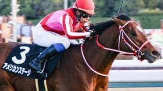 25年のBCスプリント4着馬 アメリカンステージが初の千直参戦だ