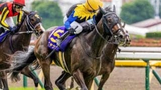 3歳牝馬の頂上決戦 オークスは実績馬が優勢か