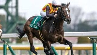 【オークス予想】2ケタ人気で好走馬の共通点は？ 過去データから探るGIオークス