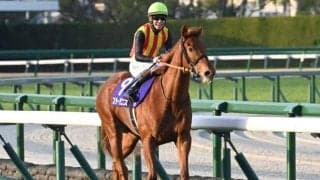 【オークス・馬体重】スターアニスは480kg(±0)、ラフターラインズは462kg(+2)