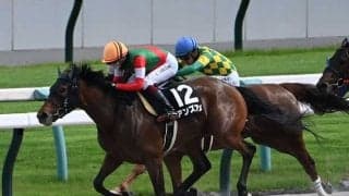 【JRA・WIN5】本日のWIN5は的中459票、配当127万1050円