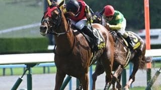 【都大路S結果】ガイアメンテがレコードタイムで快勝