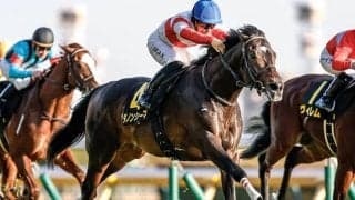 【目黒記念】ダノンシーマ、ファイアンクランツなどが登録