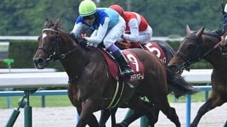 【安田記念】アドマイヤズーム、スズハロームなどが登録