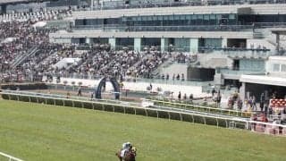 【香港チャンピオンズ＆チャターC結果】ロマンチックウォリアーが史上3頭目の香港三冠達成！ ディープモンスター3着