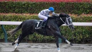 【東京12R】武豊ギュルヴィが完勝でオープン入り…早め先頭からねじ伏せる