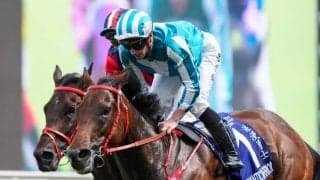 【香港競馬】ロマンチックウォリアーが三冠達成…歴史的な15度目G1制覇で不滅の存在へ