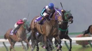 【盛岡・あすなろ賞】ラッキードリームが貫禄の勝利…笹川翼「気難しいけど力はある」