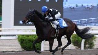 地方競馬を代表する名手・宮川実騎手が2500勝達成、高知で節目飾る