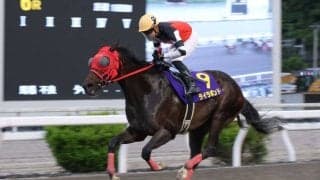 【高知・福永洋一記念】ライラボンド圧巻V…野畑凌「いつか伝説の騎手に」