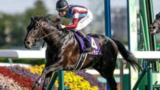 競馬の祭典・日本ダービーなど3重賞/今週の競馬界の見どころ