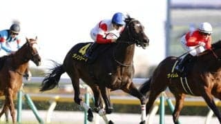 【目黒記念登録馬】ダノンシーマなど16頭
