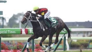 【葵S登録馬】エイシンディードなど22頭