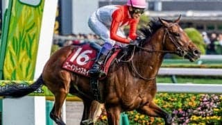 【日本ダービー】歴代最多6勝の武豊騎手 ゴーイントゥスカイで4年ぶりVなるか