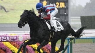 【日本ダービー見どころ】3歳クラシック2冠を目指すロブチェン