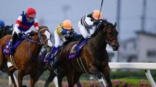 【浦和・プラチナC枠順】さきたま杯を占う一戦 前走重賞Vのツーシャドーは4枠4番