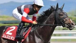 【日本ダービー】セレクト5.9億円のエムズビギン 史上最高価格のJRA重賞勝ち馬となるか