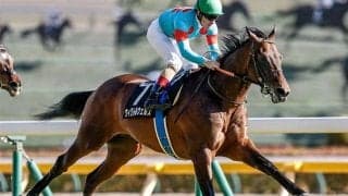 【目黒記念想定騎手】ウィクトルウェルスはC.ルメール騎手、ダノンシーマは川田将雅騎手