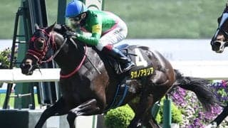 【葵S想定騎手】タガノアラリアは鮫島克駿騎手、ヒシアイラは荻野極騎手