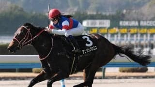 【葵S展望】人気薄になりそうな牝馬の激走に期待