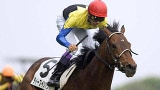 日本ダービー着差ランキングTOP5 ディープインパクトを超える87年の6馬身差圧勝劇が1位