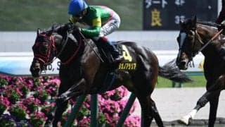 【葵S予想オッズ】タガノアラリアが予想1番人気