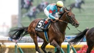 【目黒記念予想オッズ】ウィクトルウェルスが予想1番人気