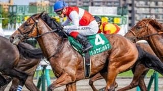 【日本ダービー】ハービンジャー産駒がクラシック三冠競走初制覇なるか ショウナンガルフが激変狙う