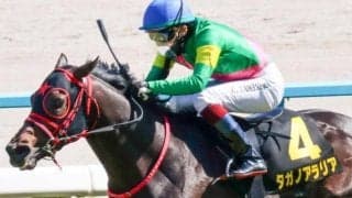 【葵S】ミスターメロディ産駒がJRA重賞初制覇なるか タガノアラリアが主役張る