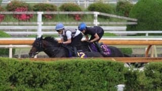 クロワデュノール、宝塚記念2週前追い切り速報/栗東トレセンニュース
