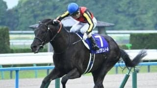 【宝塚記念想定】クロワデュノール、メイショウタバルなど18頭
