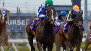 【浦和・プラチナC結果】イグザルトがゴール前で差し切り重賞2勝目を挙げる