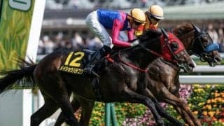 【日本ダービー】プリンシパルS組の史上初戴冠なるか メイショウハチコウがM.ディー騎手で参戦だ