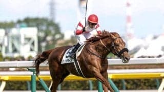 【日本ダービー過去10年傾向】1番人気の信頼度は？ 中穴馬も存在感示す一戦