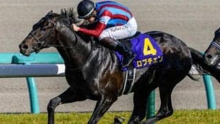 【日本ダービー】史上25頭目の二冠へ ロブチェン＆松山弘平騎手が不動の主役だ