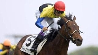 日本ダービーの種牡馬にまつわる記録 勝利数TOP3や親仔制覇の例は？