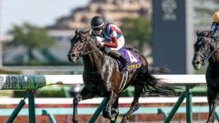 日本ダービー登録馬の香港馬名を紹介 「洛夫琴山」「名將忠犬」など全20頭