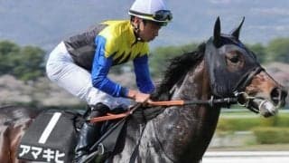【目黒記念】名牝アパパネの7番仔 アマキヒがきょうだい2頭目の重賞勝ちなるか