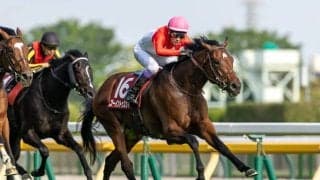 【武豊日記】37回目の挑戦