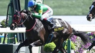 【葵S出走馬・騎手確定】タガノアラリア＆鮫島克駿騎手、タマモイカロス＆高杉吏麒騎手など16頭