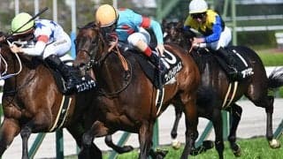 【目黒記念出走馬・騎手確定】ウィクトルウェルス＆C.ルメール騎手、ダノンシーマ＆川田将雅騎手など14頭