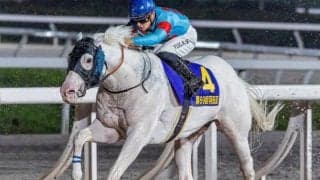 白毛一族の良血 アマンテビアンコが休み明け2戦目で本領発揮なるか