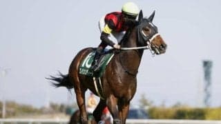 【葵S枠順確定】エイシンディードは3枠5番、タガノアラリアは6枠11番