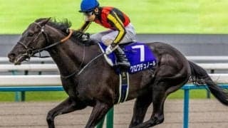 【宝塚記念想定馬・騎手】クロワデュノール、メイショウタバルなど18頭