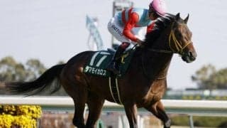 【葵S予想】波乱傾向の強い3歳限定の短距離重賞！ 過去傾向や相手関係から厳しい戦いが予想される人気馬とは