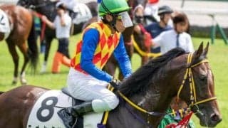 半弟は皐月賞馬ロブチェン テーオーシュタインが連勝狙う